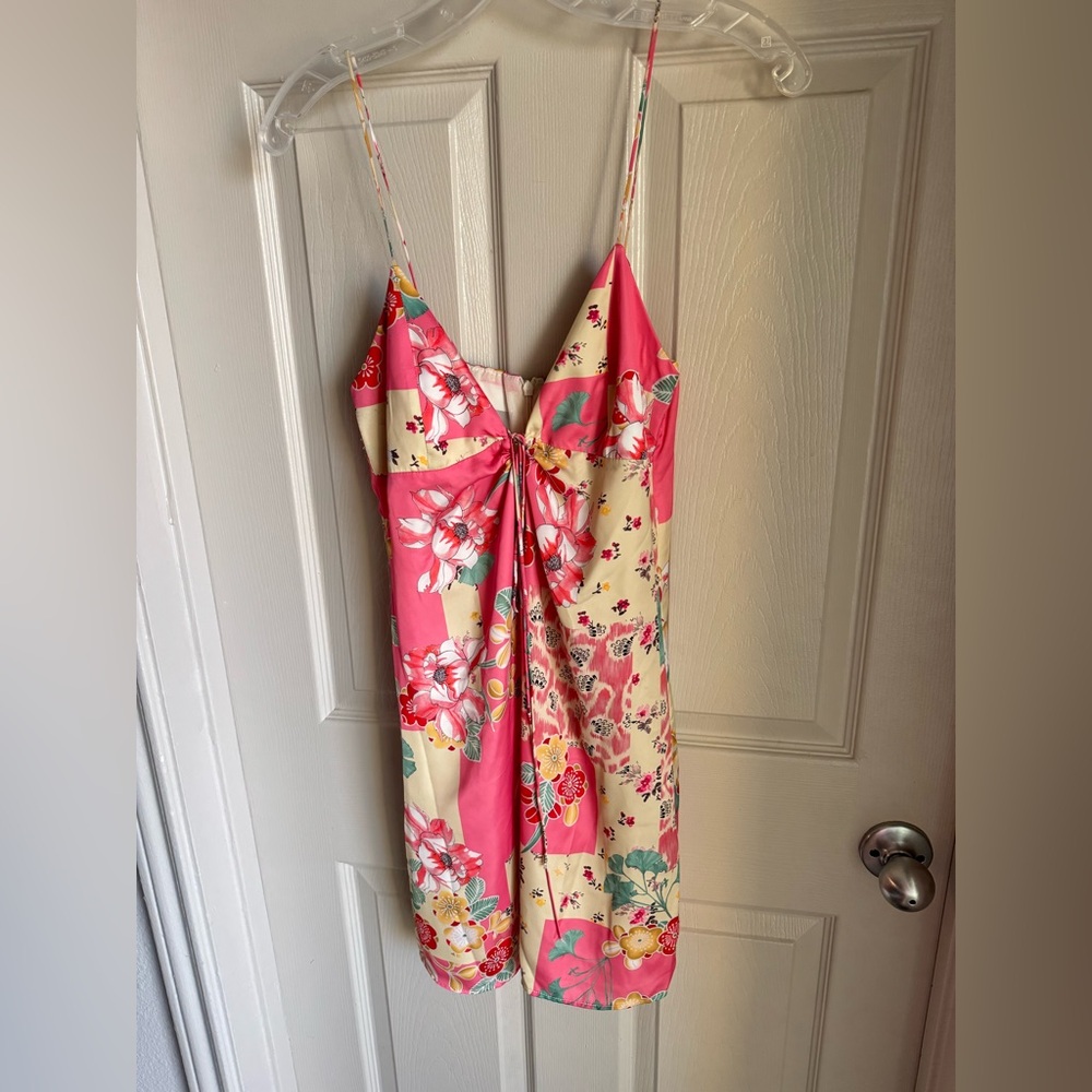 Zara Pink and Cream Floral Dress